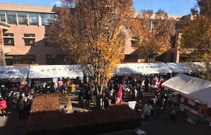 大学祭学部公開