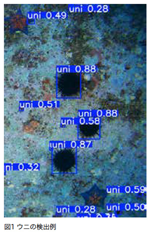 ウニの検出例