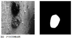 アワビの検出例